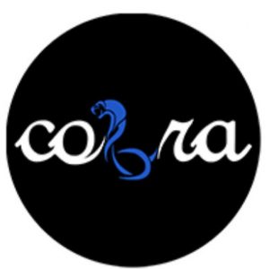 cobra iptv abonnement